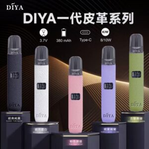 DIYA皮革主機